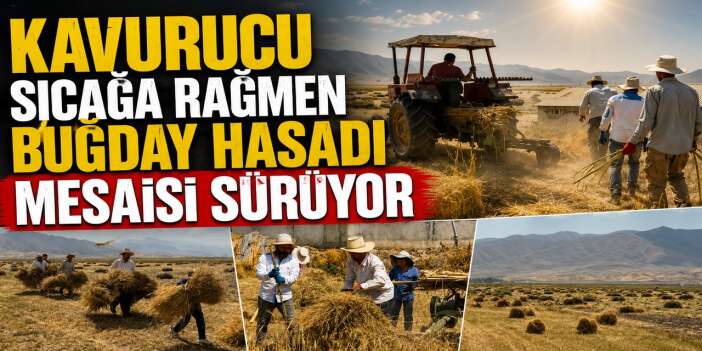 Yüksekova’da çiftçilerin zorlu hasat mesaisi başladı