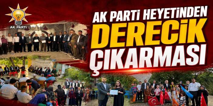 AK Parti Heyeti Derecik’te sahaya indi