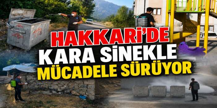 Hakkari’de kara sinekle mücadele sürüyor