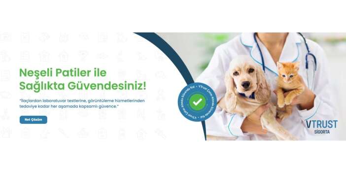Evcil Hayvan Sigortası Yapan Şirketler İçin Klinik Ağı Neden Önemlidir?