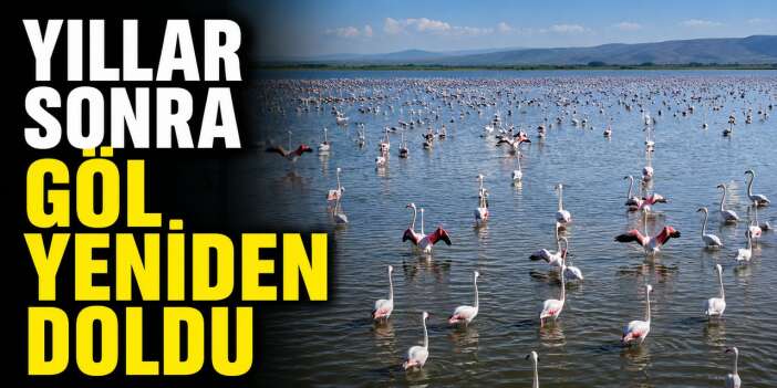 Akşehir Gölü yeniden doğdu