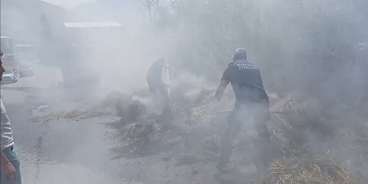 Hakkari’de Saman balyaları alevlere teslim oldu