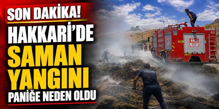 Hakkari’de Saman balyaları alevlere teslim oldu
