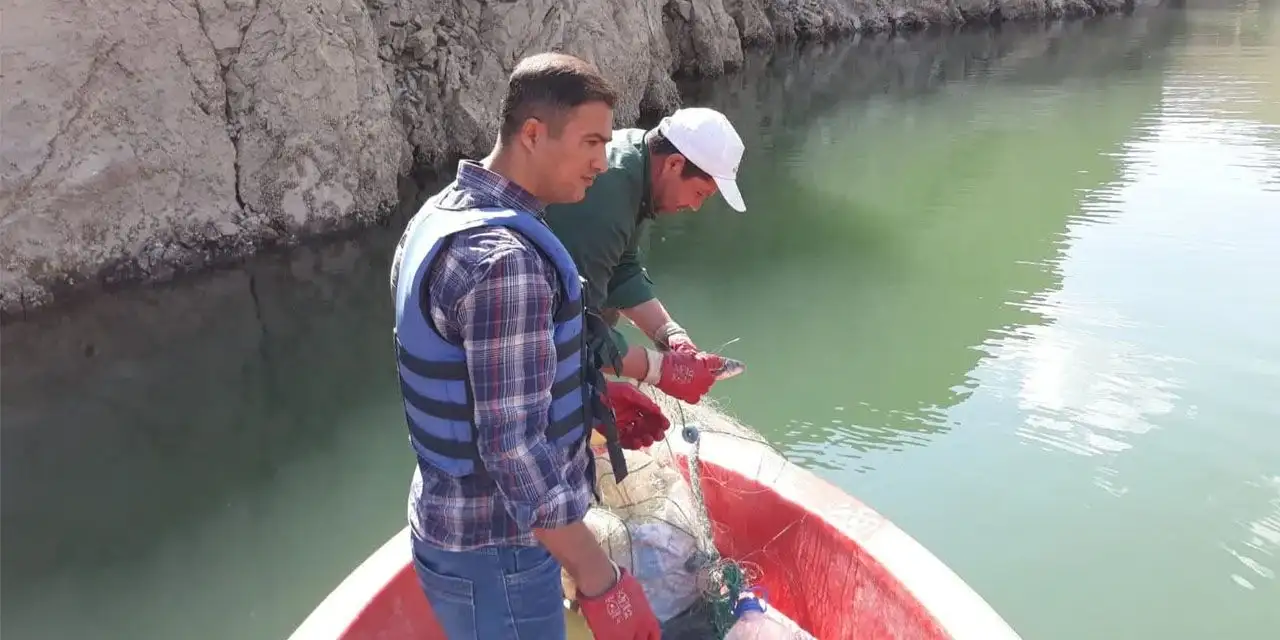 Van'da sazangiller av yasağı sona erdi
