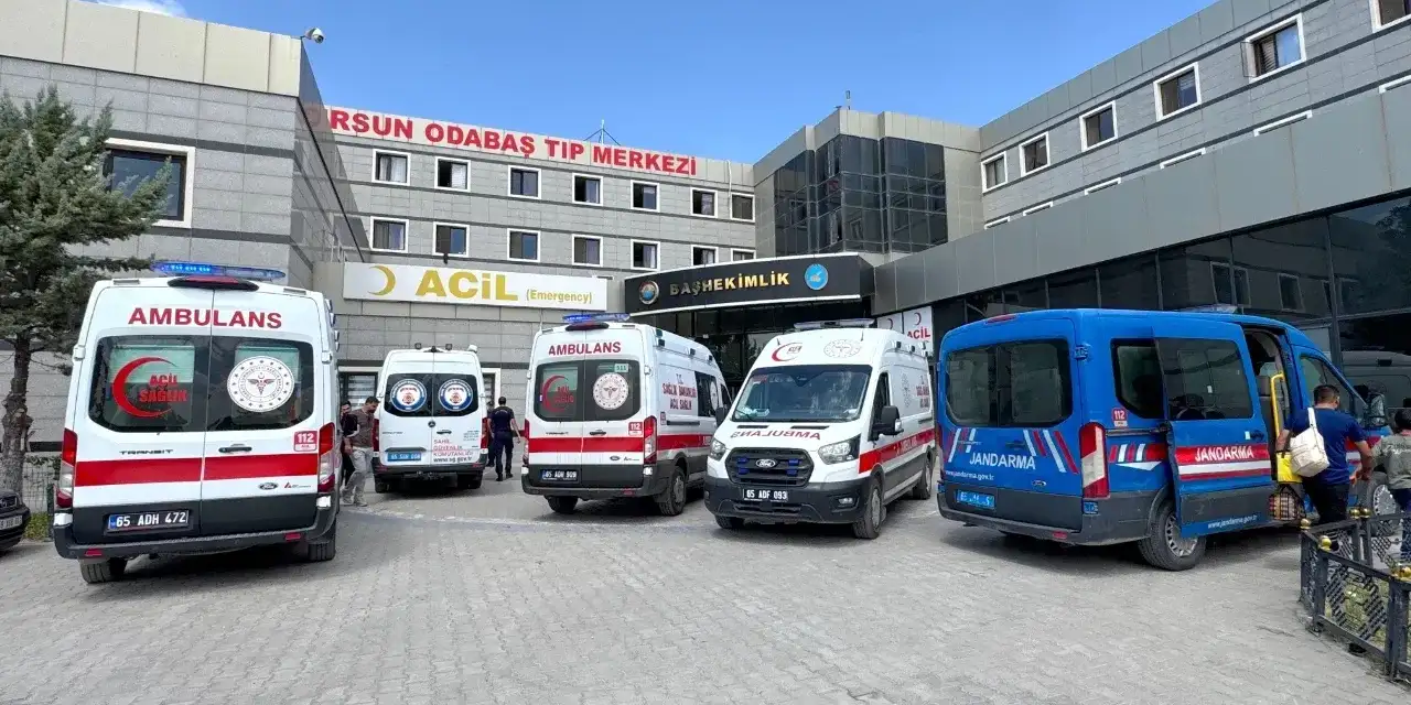 Van Gölü'nde facia: 2 kardeş hayatını kaybetti