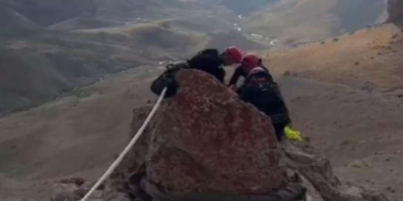 Mahsur kalan keçiler kurtarıldı