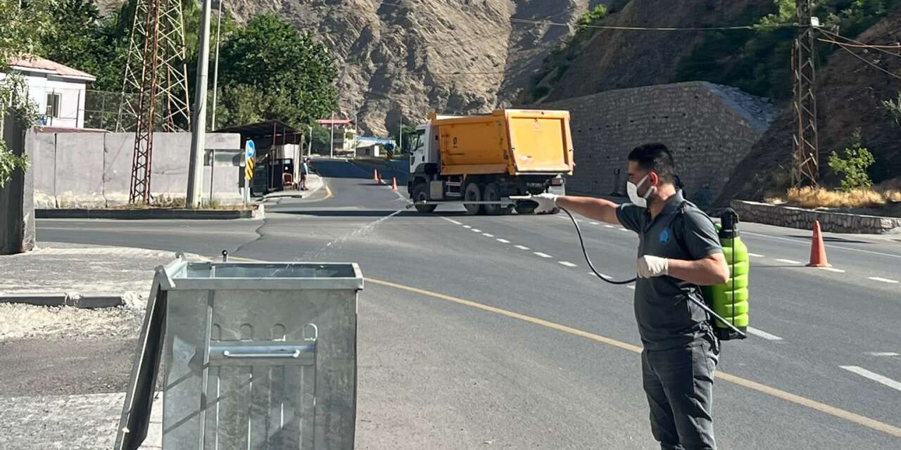 Hakkari Belediyesi haşerelere geçit vermiyor
