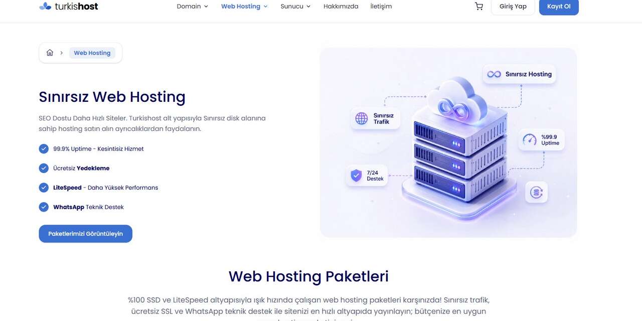 Web Projeleri Büyüdükçe Altyapı İhtiyacı Nasıl Değişir?