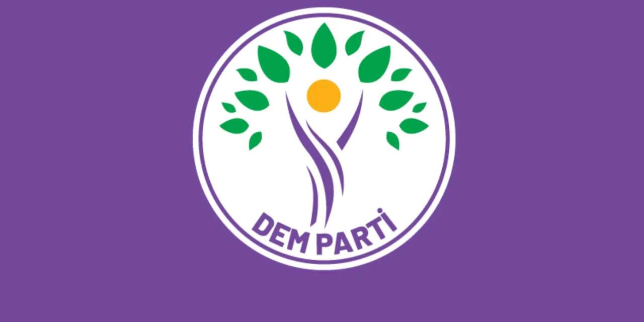 DEM Parti Kadın Meclisi’nden Rojin Kabaiş açıklaması