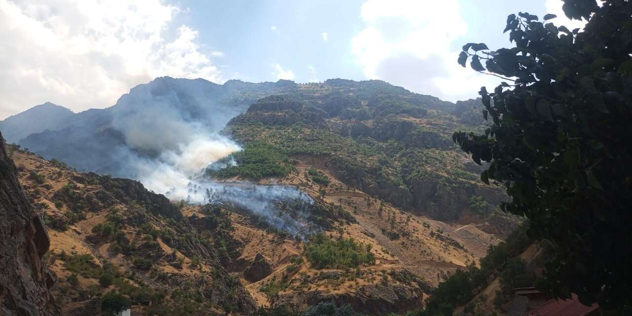 Hakkari Olgunlar'da yangın devam ediyor