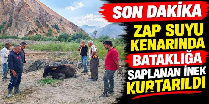Hakkari-Van Karayolu'nda bataklığa saplanan inek kurtarıldı