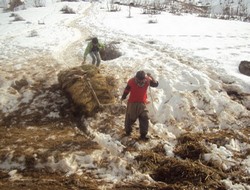 Köylülerin kış çilesi