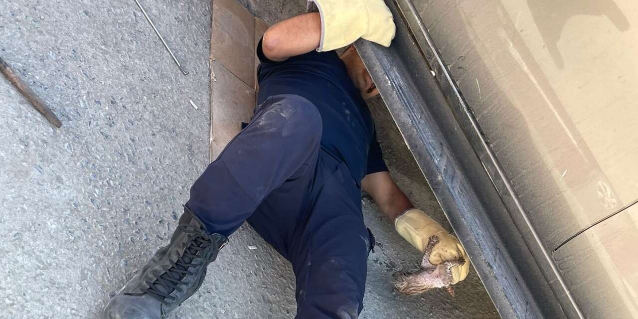 Hakkari’de minik can itfaiye ekiplerince kurtarıldı