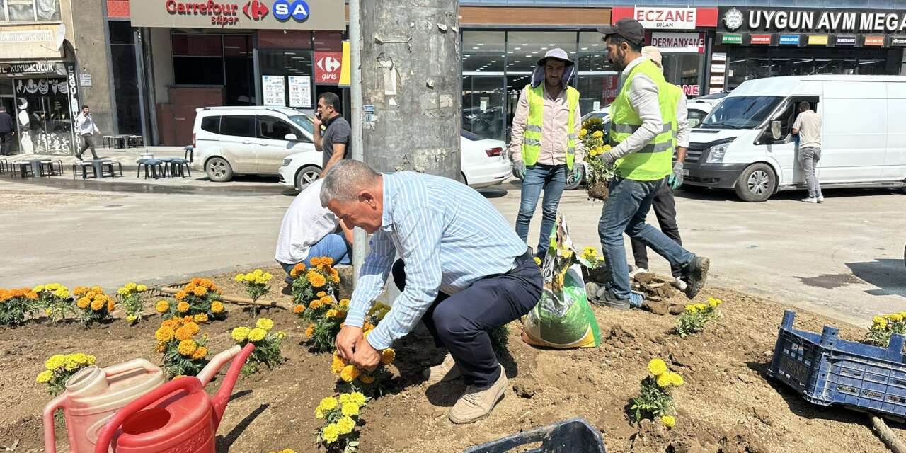 Yüksekova’da orta refüjler yeşilleniyor