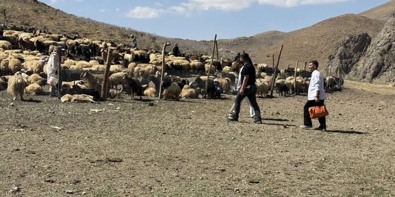 Yüksekova’da Berivanlara mobil sağlık hizmeti