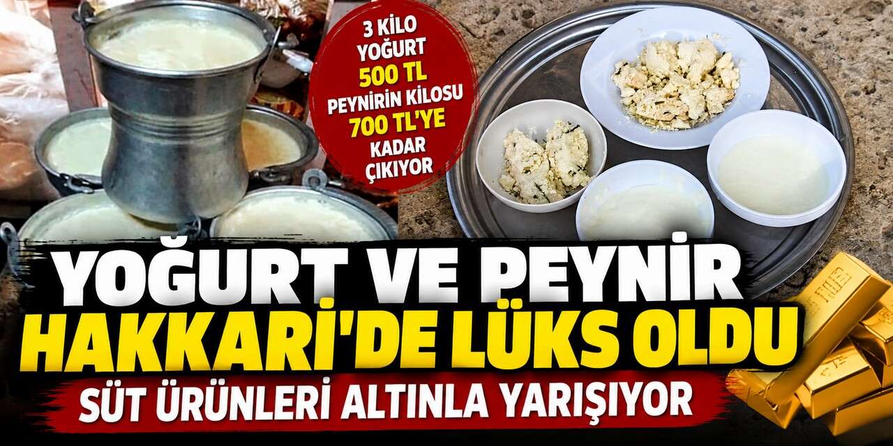 Hakkari’de süt ürünleri altınla yarışıyor