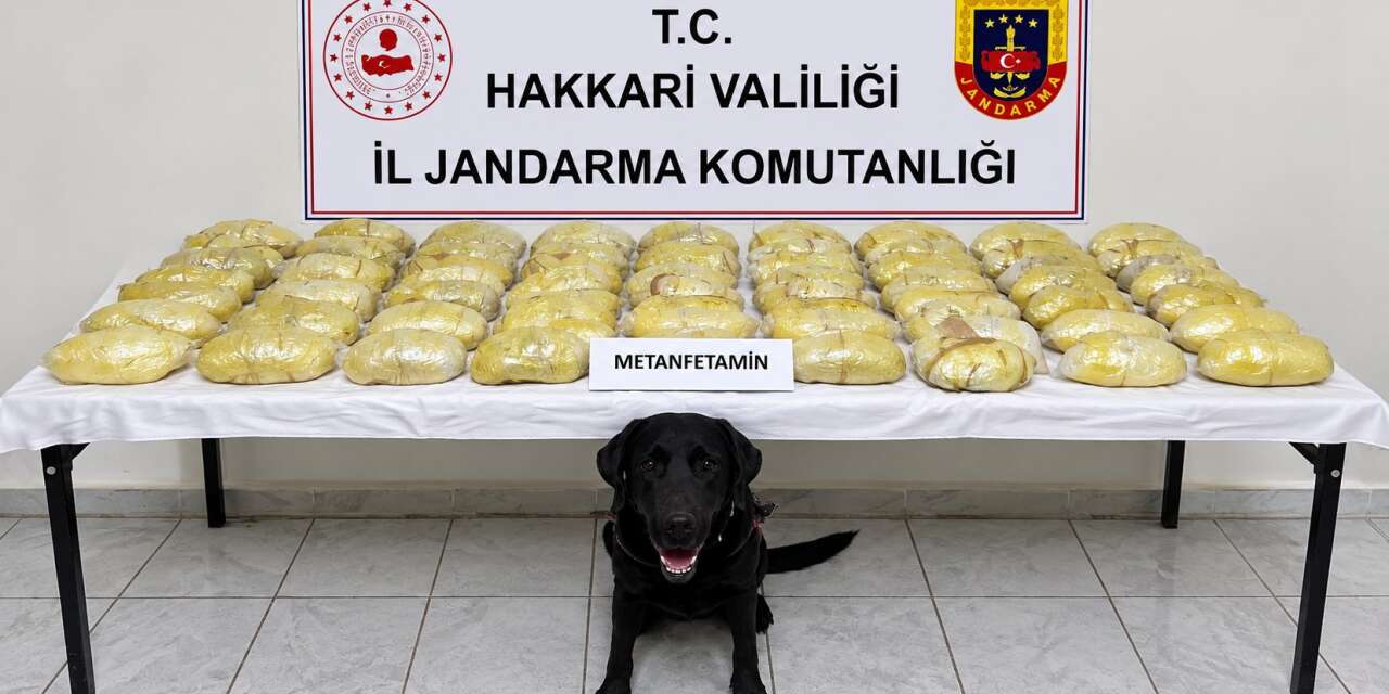 Hakkâri’de TIR’dan 21 kilo 700 gram uyuşturucu çıktı