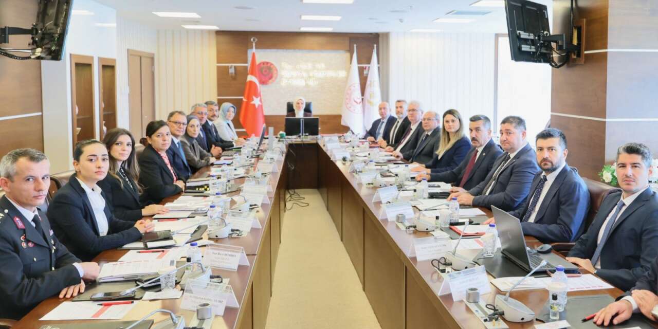 İçişleri Bakan Yardımcısı Ali Çelik, 17. Merkezi Koordinasyon Toplantısı'na katıldı
