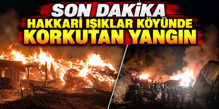 Hakkari Işıklar köyünde korkutan yangın