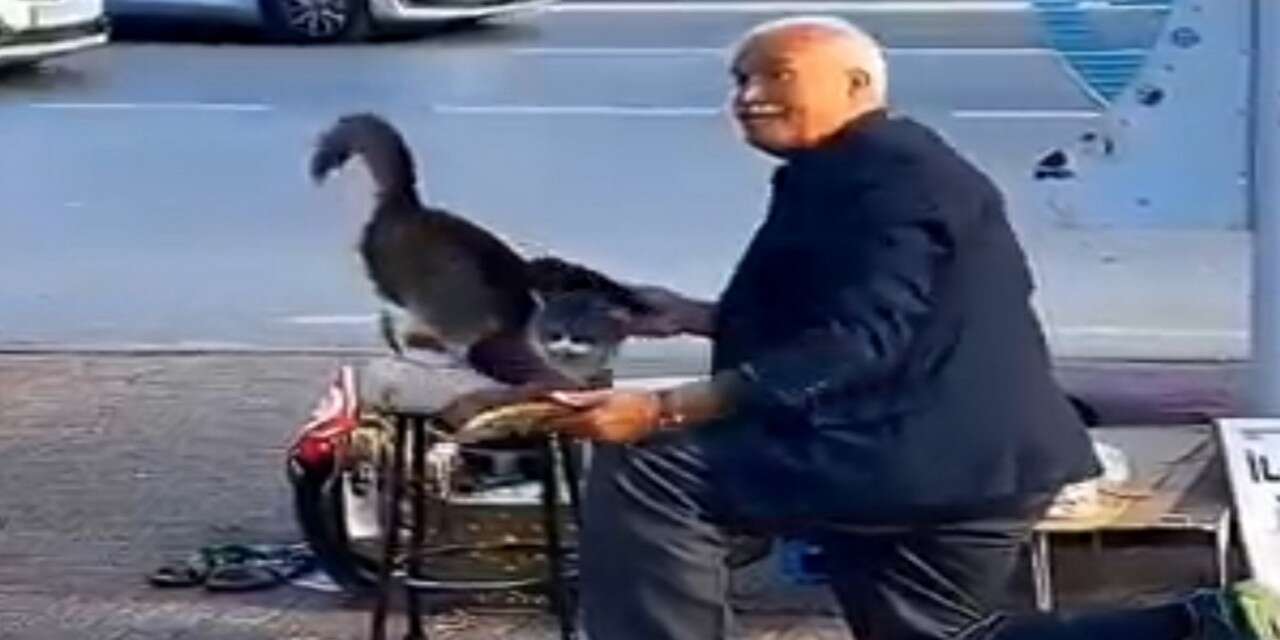 ​Kadıköy’ün "Cengiz Baba"sı Dilsiz canların sesi oldu