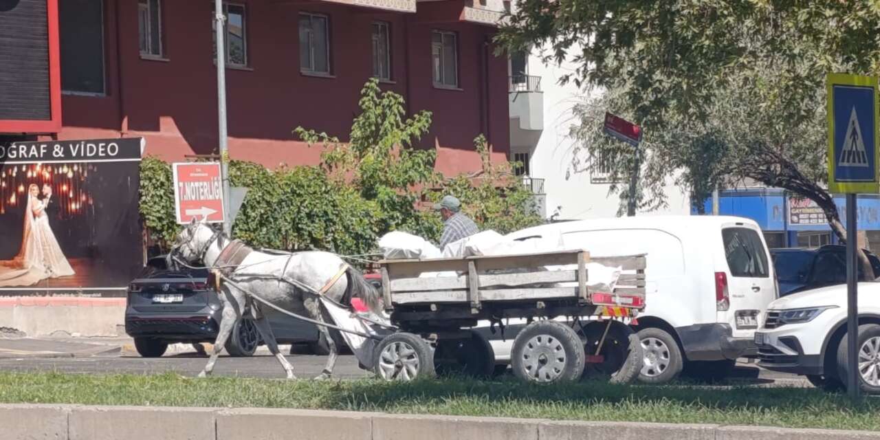 Diyarbakır’da yıllar sonra at arabası görüntülendi