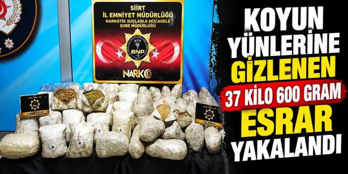 Koyun yünlerinin arasından 37 kilo 600 gram esrar çıktı