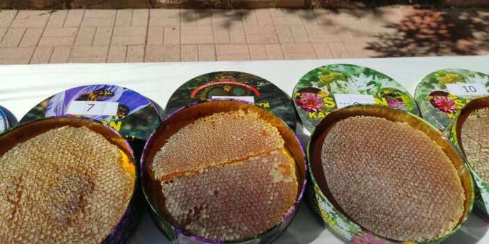 Sason’da 28 arıcı en kaliteli bal için yarıştı
