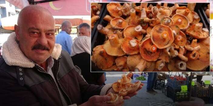 Mantar bolluğu zehirlenme vakalarını artırdı