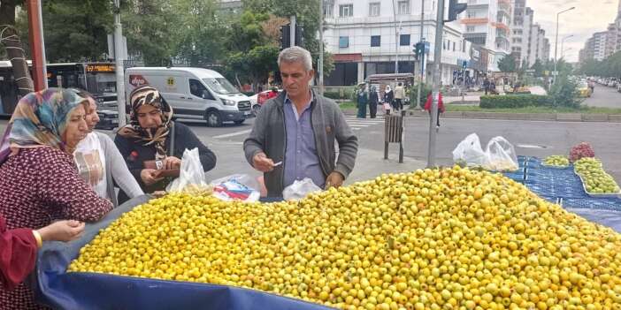 Alıç 300 liradan satılıyor