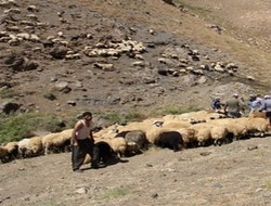 Çoban katliamı sonuçlandı