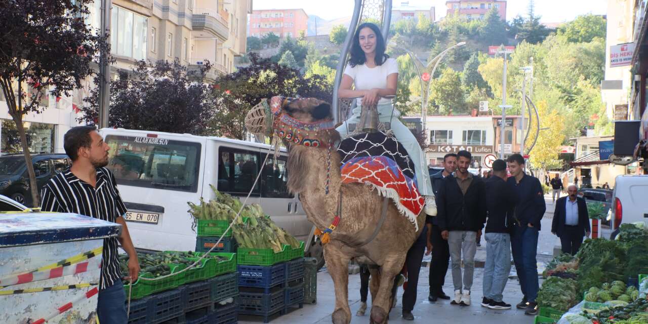 Hakkari çarşısında deve ve midilliler ilgi odağı oldu