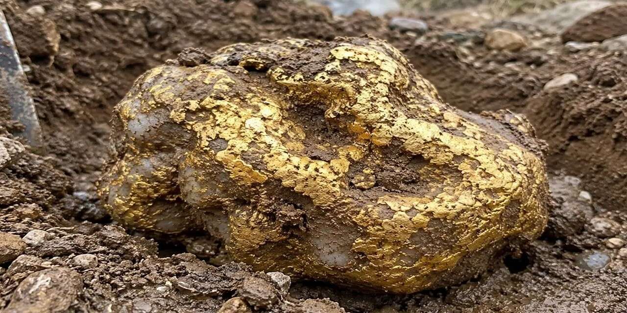 Alaska’da bulunan dev altın külçesi 750 bin dolara satıldı