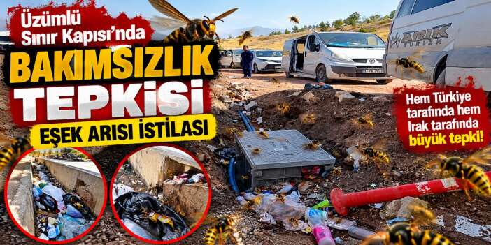 Üzümlü Sınır Kapısı’nda bakımsızlık tepkisi