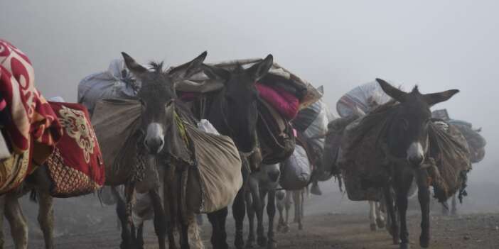 Beytüşşebap'ta göçerlerin yayla yolculuğu sona erdi