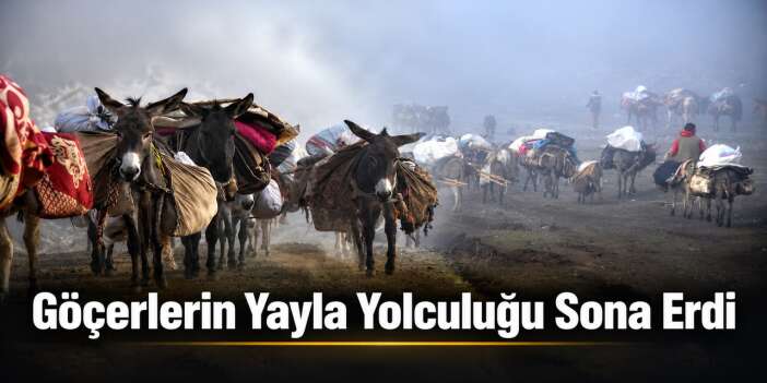 Beytüşşebap'ta göçerlerin yayla yolculuğu sona erdi