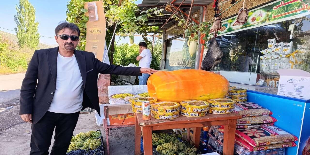 Duhok’ta 60 kiloluk bal kabağı ilgi odağı oldu