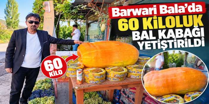 Duhok’ta 60 kiloluk bal kabağı ilgi odağı oldu