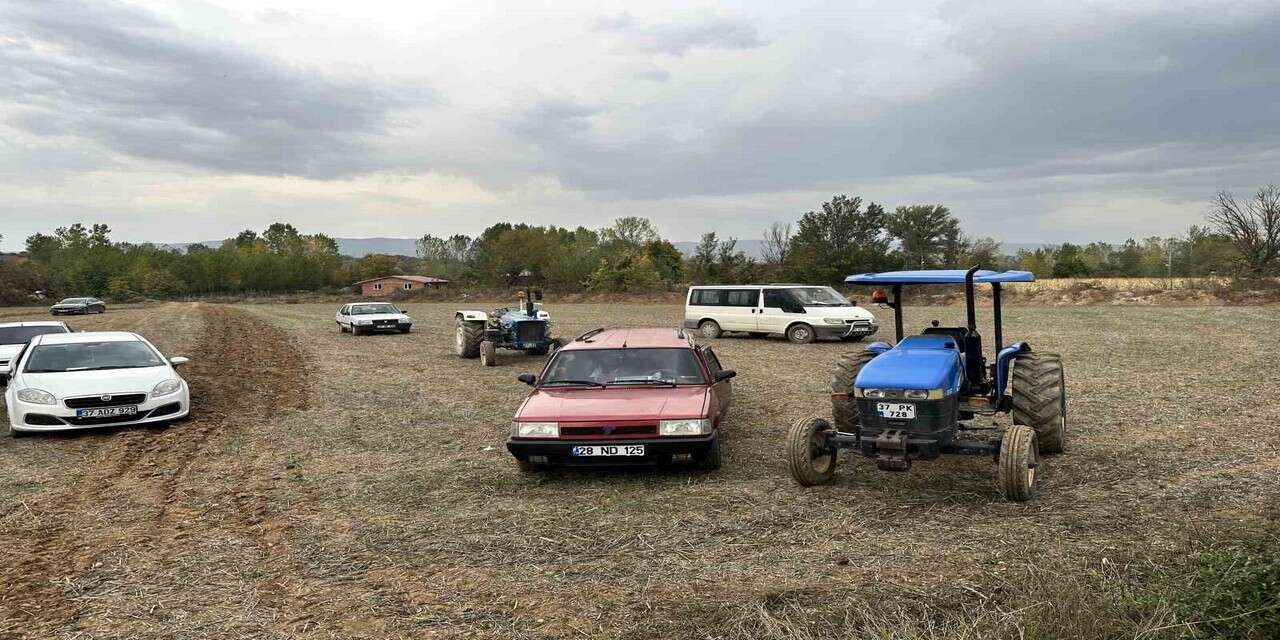 Tarlada silahlar ateşlendi 4 ölü
