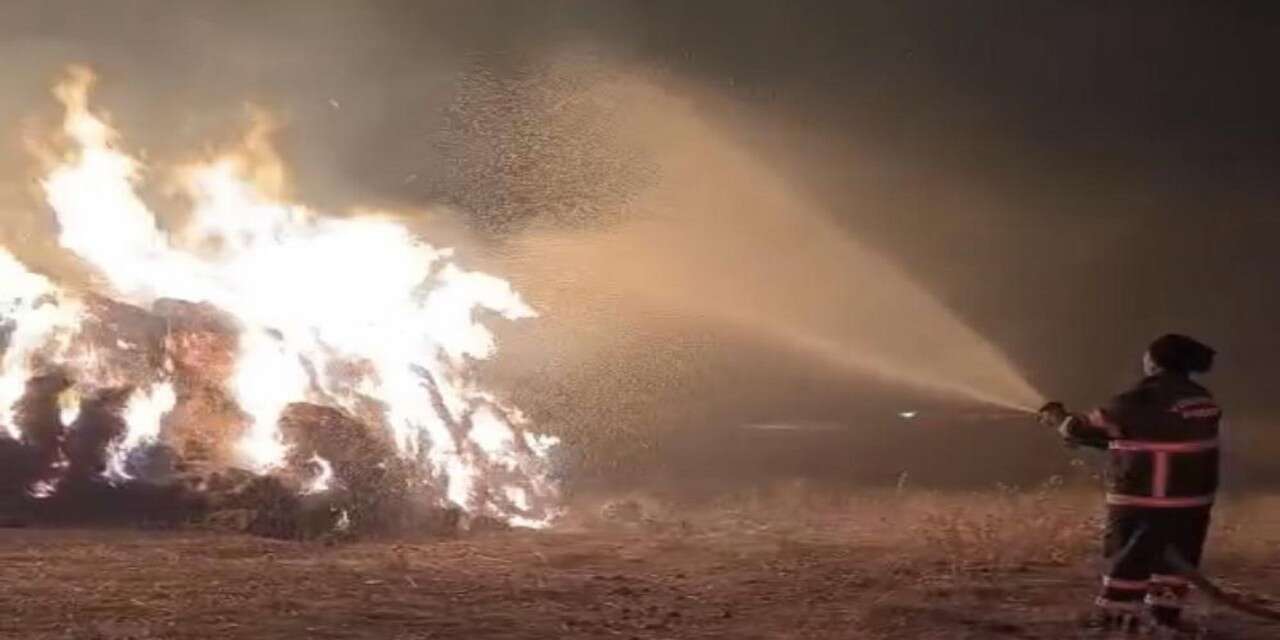 Yüksekova’da Yangın: 5 bin bağ ot kül oldu
