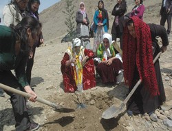 BDP mezarlık çevresine fidan dikti