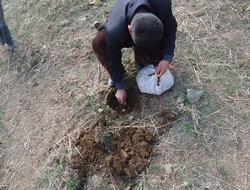 Hakkari'li çiftçilere müjdeli haber