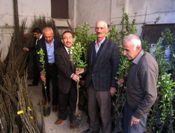 Hakkari'de 10 bin meyve fidanı dağıtıldı