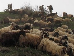 Kaçakçılığa hava operasyonu yapıldı