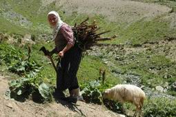 72 YAYLA VE MERA KULLANIMA AÇILDI