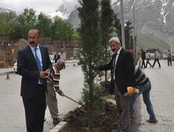 Belediye'den yeşillendirme çalışması