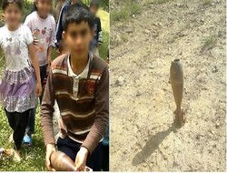 Güneydoğu patlayıcı ve mayınla dolu,,,