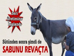 Eşeğin sütünden sonra