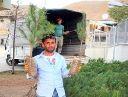 Eğirdir'den Hakkari'ye fidan desteği