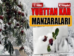 Yurttan kar manzaraları