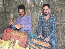 Yol Tezgahları Geçim Kaynağı Oldu